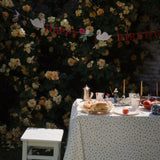 Konges Sløjd A/S BIRTHDAY nature