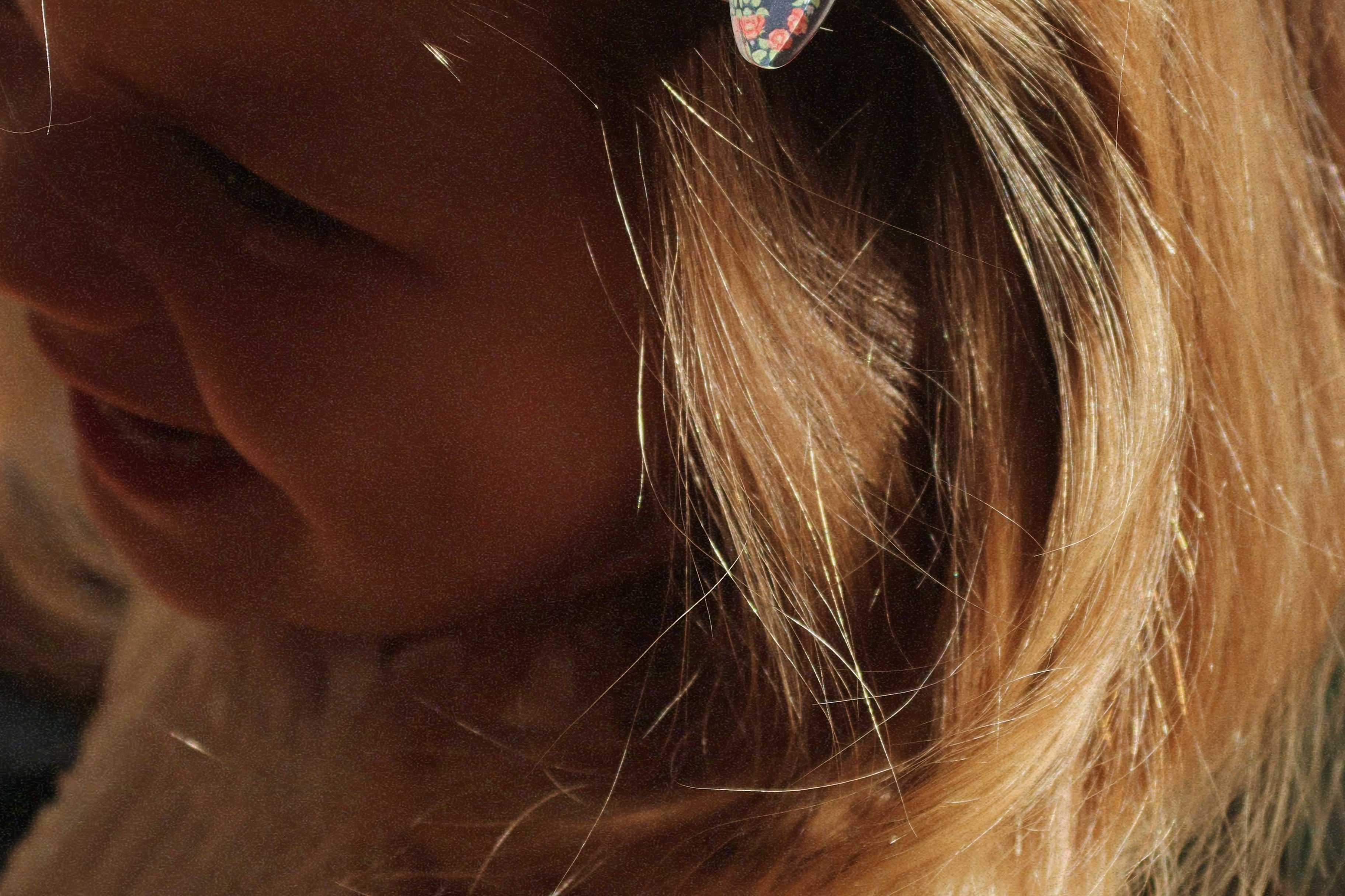 Konges Sløjd A/S HAIR ACCESSORIES puppy