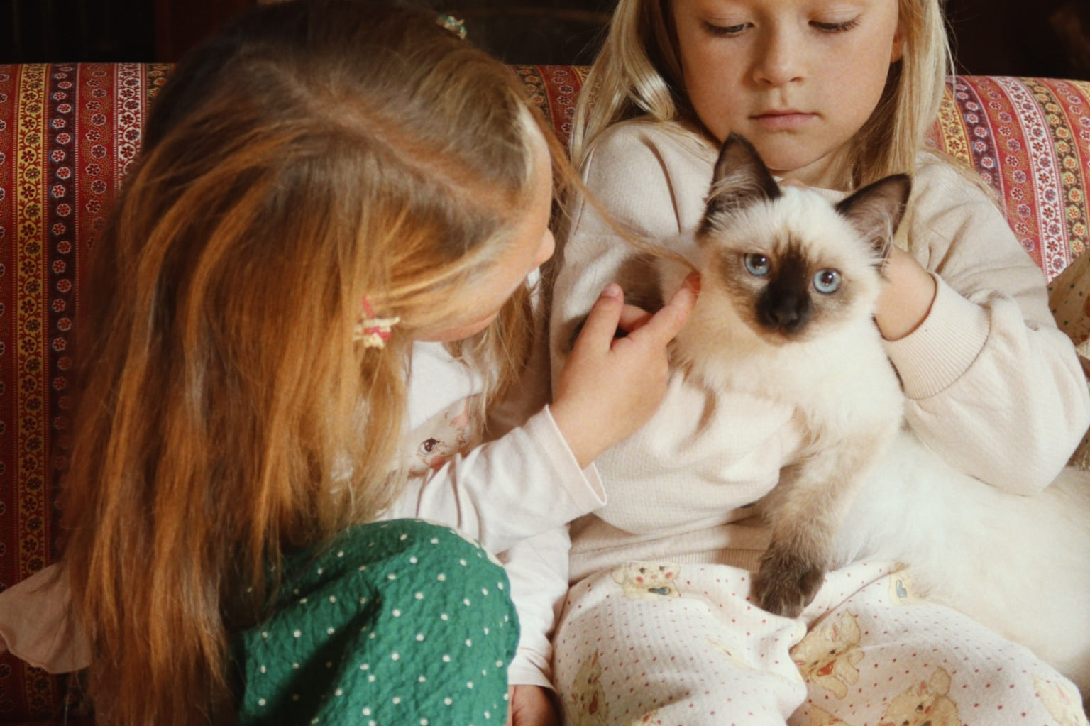 Konges Sløjd A/S JERSEY PANTS miao amore