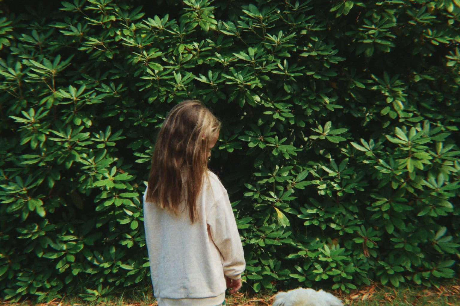 Konges Sløjd A/S JERSEY BLOUSES family photo