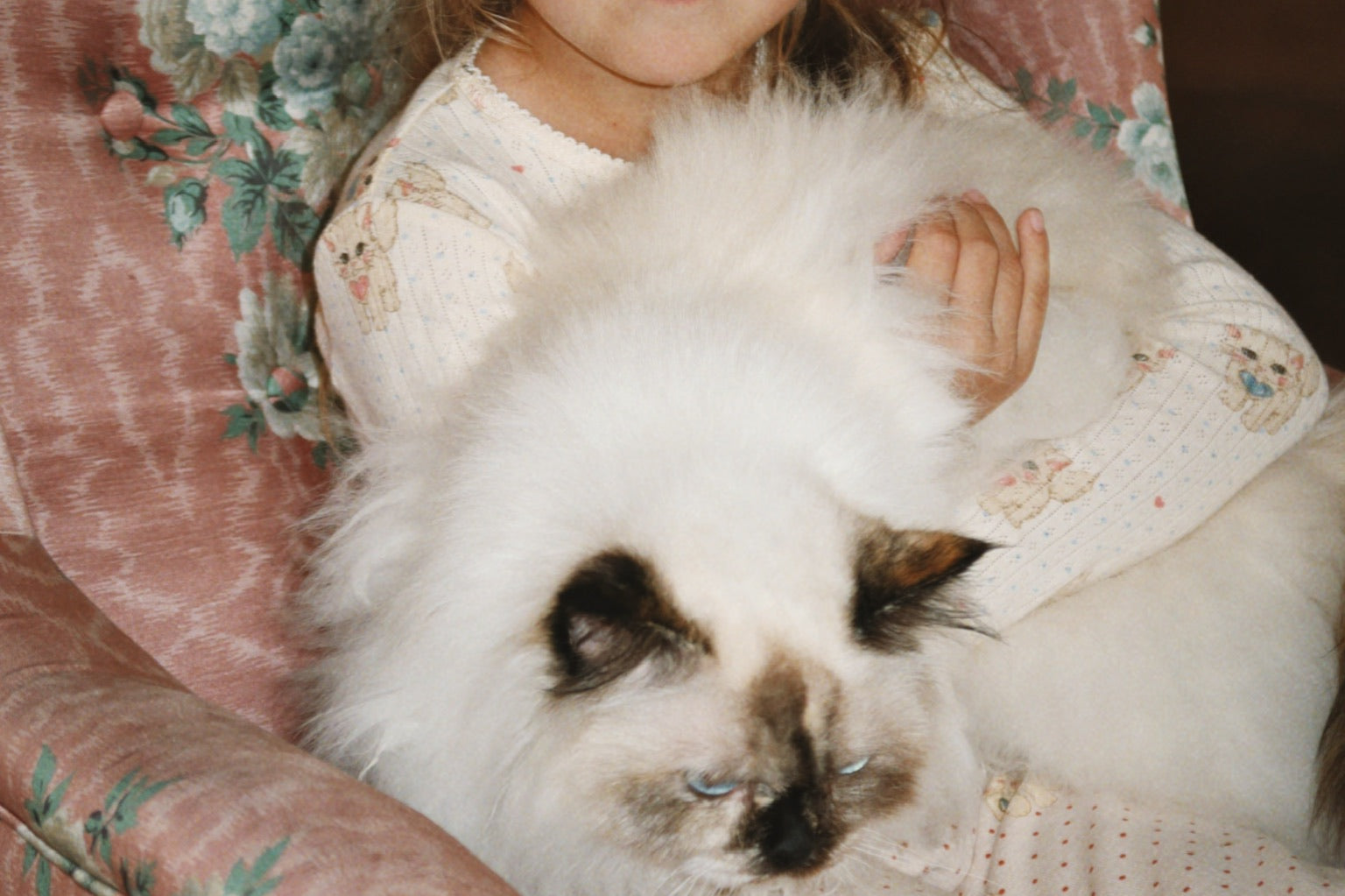 Konges Sløjd A/S JERSEY PANTS miao amore