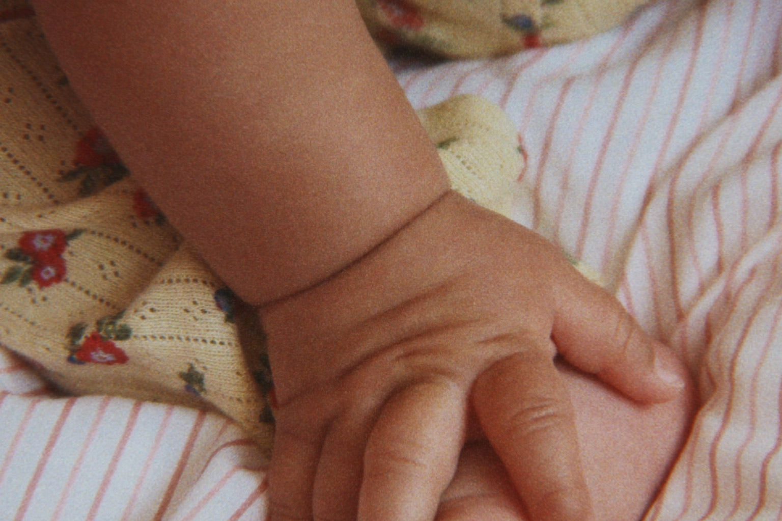 Konges Sløjd A/S JERSEY PANTS carmona