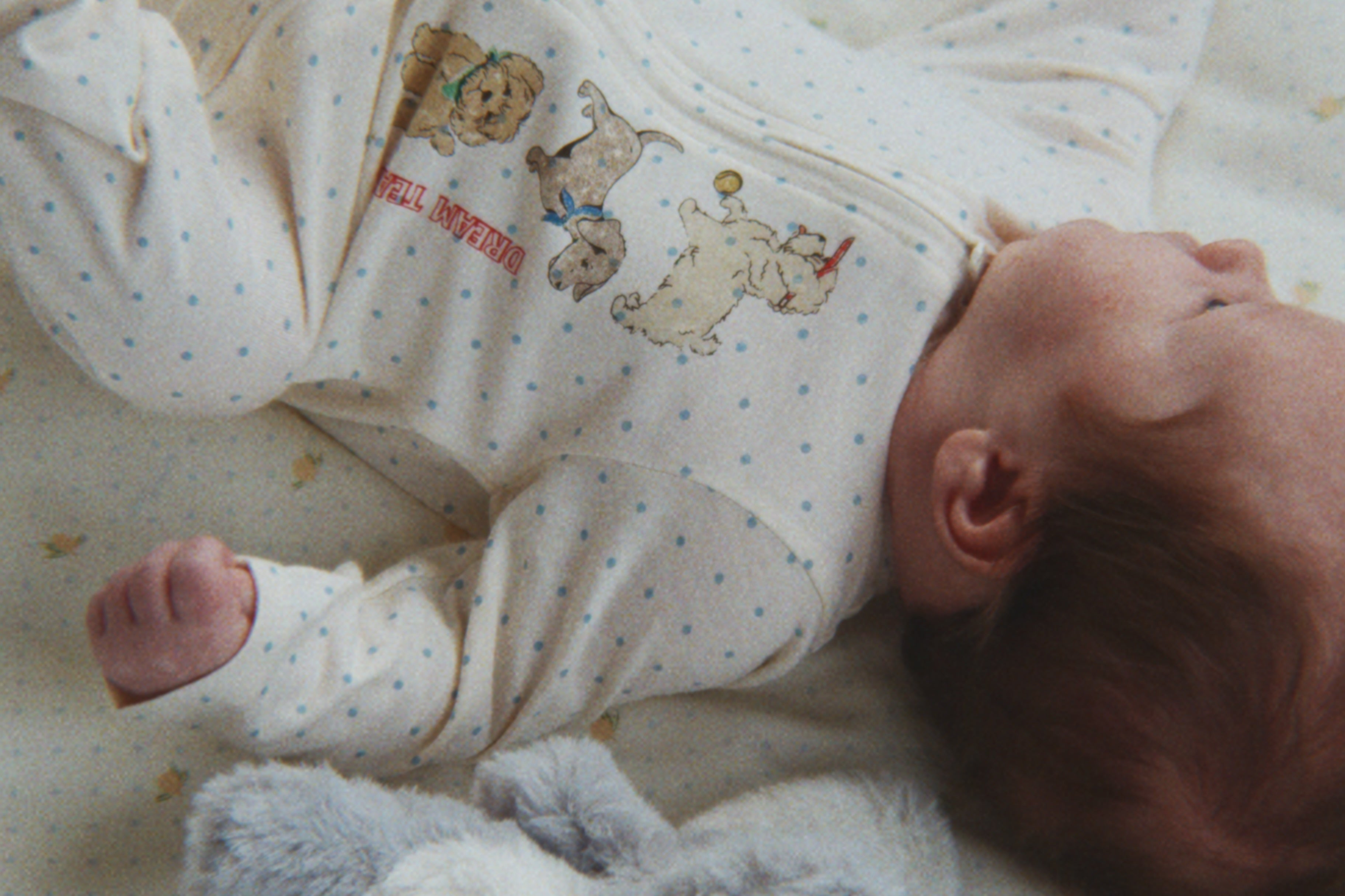 Konges Sløjd A/S TEDDY BEARS sleet