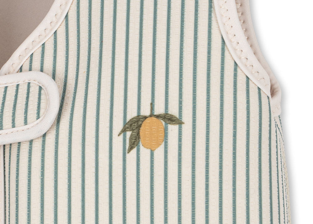 Konges Sløjd A/S FLOAT VEST & BELTS tea stripe